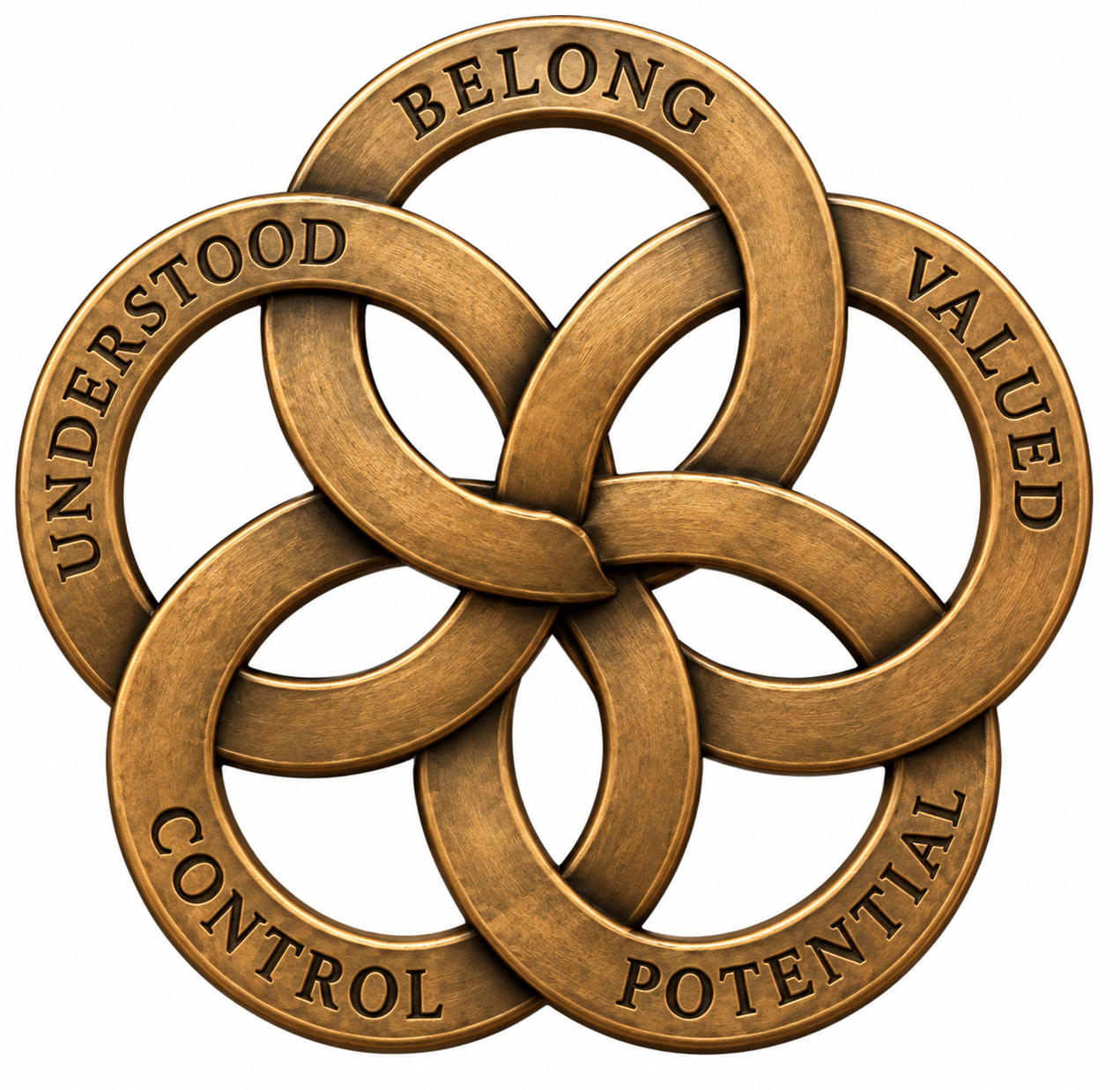 The Five Human Truths official program logo